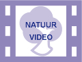 Logo
									YouTube Natuurvideo's